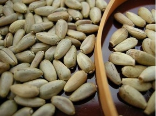 Enginar Tohumu Nasıl Tüketilir?